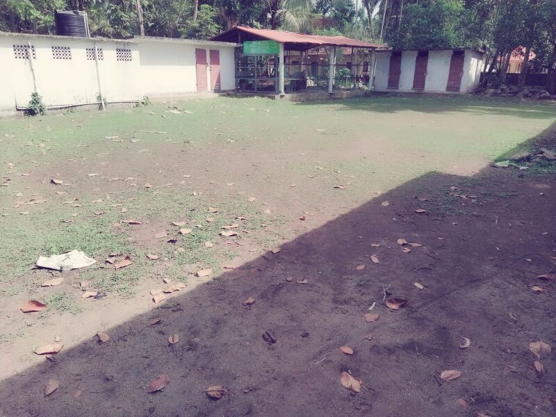 പ്രമാണം:35348 picplay1.jpg