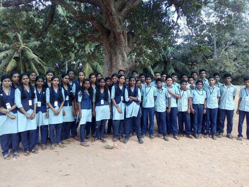 പ്രമാണം:44029 78.jpg