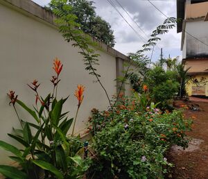 48049-nature ciub 2.jpeg