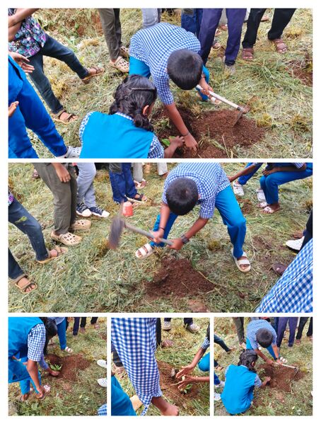 പ്രമാണം:BS PKD 21078 21.jpg