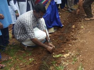 12060 vithirakkal 9.JPG