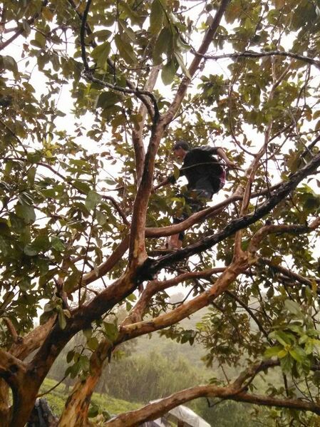 പ്രമാണം:15016 yt42.jpg