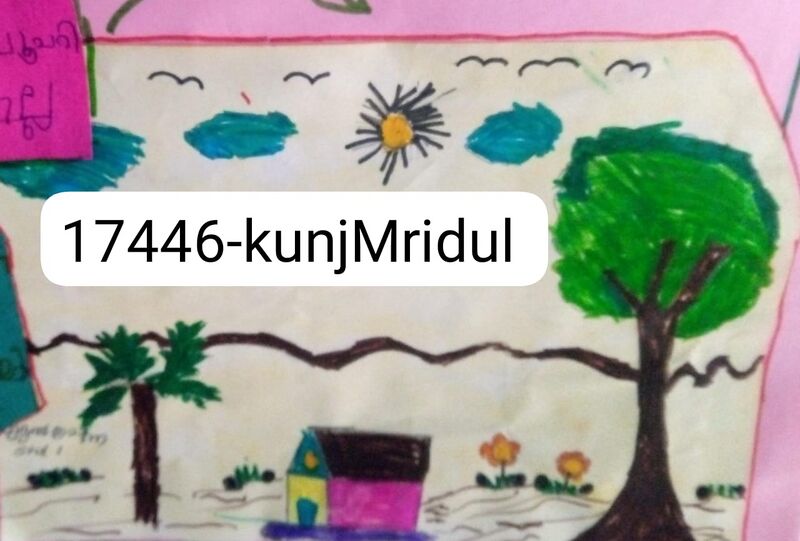 പ്രമാണം:17446-kkd-mridul krishna.jpg