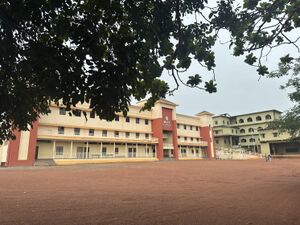 19112 MLP MESHSS IBM.jpeg