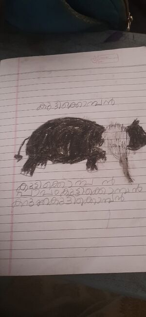 19531 MLP KUNJ HAVVA.jpeg