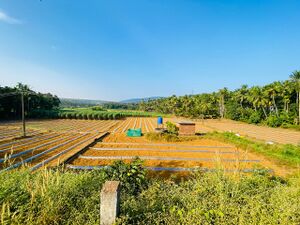 19824 entegraman kalpathipadam.jpeg