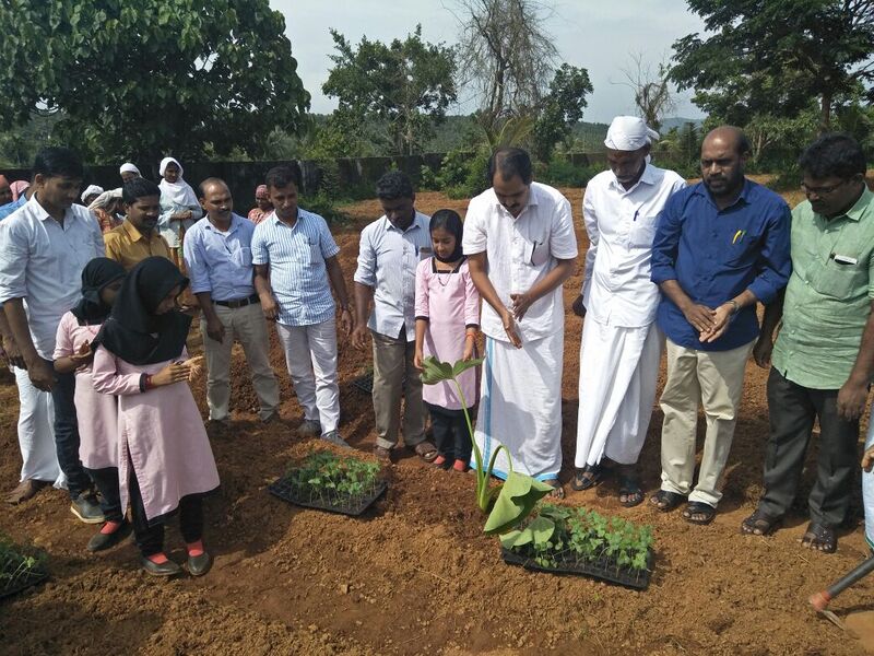 പ്രമാണം:19833 paddadikal4.jpg