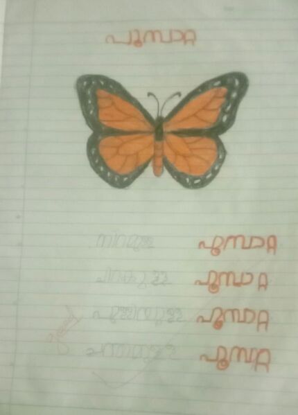 പ്രമാണം:19842-MLP-KUNJ-MUHAMMED NIHAL.jpg