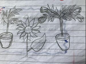 24272-TSR-KUNJ-HESSA ZAIDHA K R.jpg