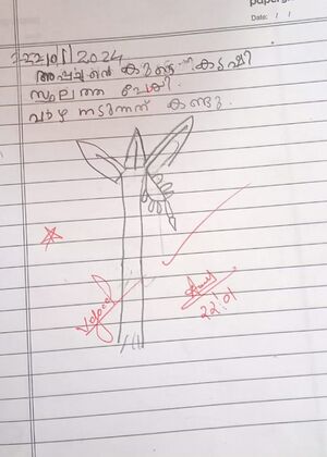 33428-KTM-KUNJ-AYAN ANEESH.jpg