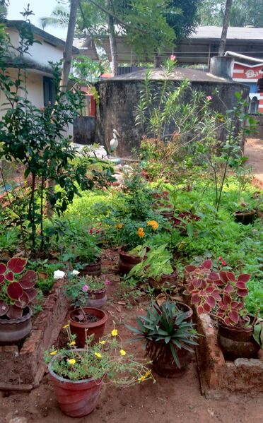 പ്രമാണം:41409jaiva vaividhya.jpeg