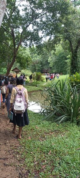 പ്രമാണം:42042 BOTANICAL3.jpg