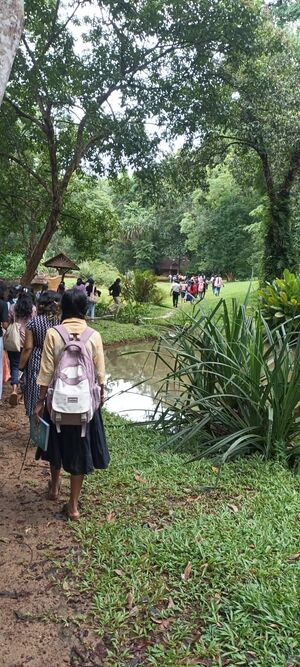 42042 BOTANICAL3.jpg