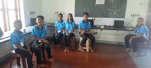 47026 stghsv -LK Roboric.jpg