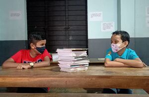 BS21 MLP 48077 4.jpg