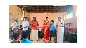 Mosquito powder25406.jpg