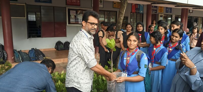 പ്രമാണം:15051 cashew plant.jpg