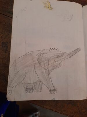 19324-MLP-KUNJ-MOHAMMED FAHEEM.jpeg