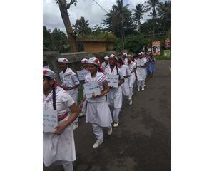 1IMG 20180806 10191543.jpg