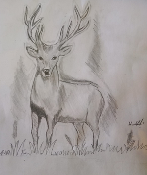 21045 simon paul.png