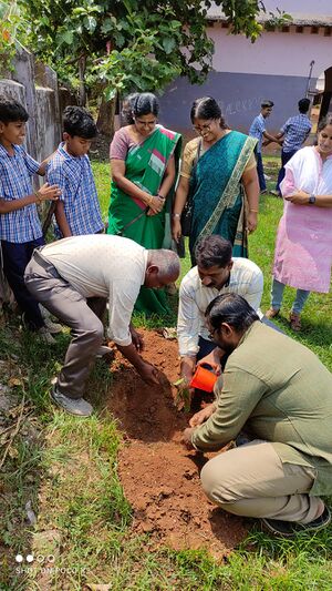 21073 Environmentday.jpg