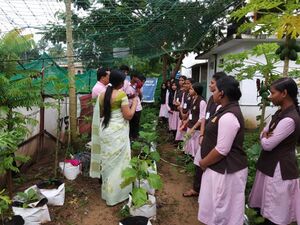 26009 IMPORTANCE OF ORGANIC VEGETABLES (3).jpg