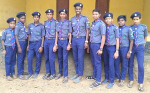 28012 SP 1920 240.jpeg