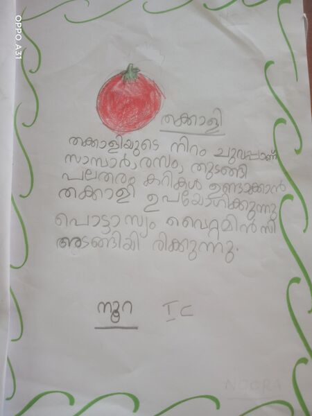 പ്രമാണം:35229-ALP-KUNJ-NOORA IC.jpg