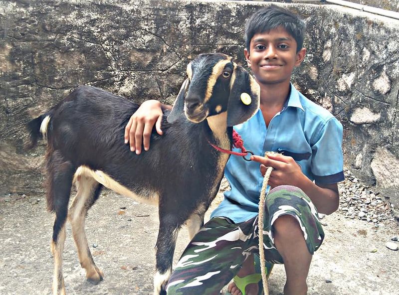 പ്രമാണം:420211 133567.jpg