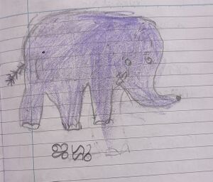 42426-TVM-KUNJ-ആയിഷ A.jpeg