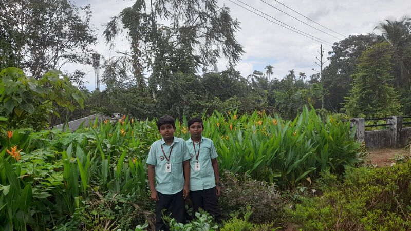 പ്രമാണം:48253 garden.jpeg