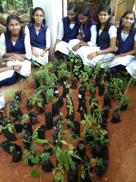 പ്രമാണം:16038 40.jpg