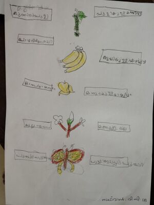 18362-MLP-KUNJU-Safwan vc.jpg