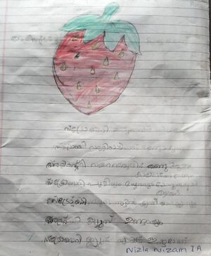 19615-MLP-KUNJ-NIZLA NISAM .jpeg