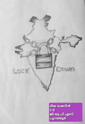 19775-lock down diya 5b.jpeg