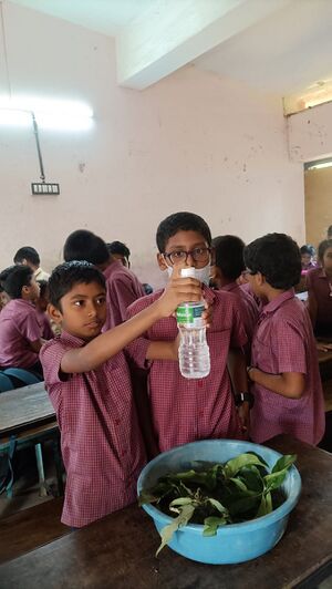 21068 ela23 lp6.jpeg