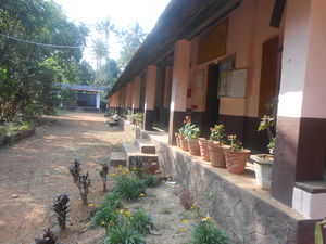 22272-pallissery aups.jpg