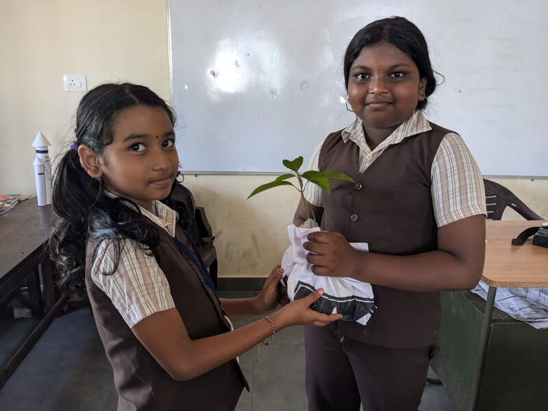 പ്രമാണം:23457 plantling.jpeg