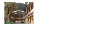 25084 SCHOOL PHOTO new.jpg