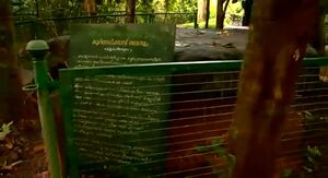 29312 kurinjikkavu4.jpg