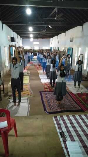33087-yoga.jpg