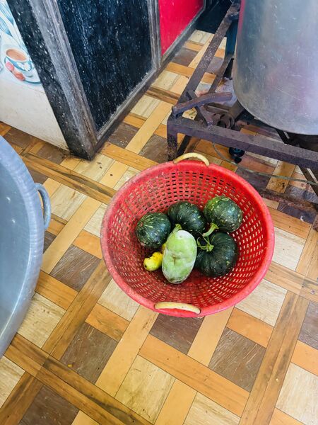 പ്രമാണം:34044-GHSM-NALLAPADAMKARSHIKA PRAVARTHANANGAL2025-10.jpg