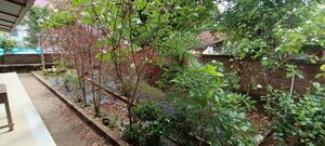 4എം.യു.പി.എസ് വാക..jpeg