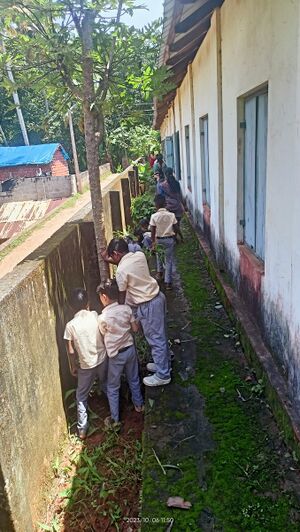 42225-cleaning process.jpg