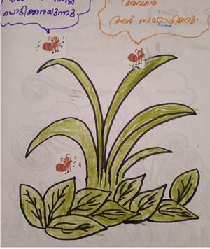 43066-TVM-KUNJ-hervin S.jpg