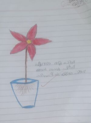 44546-TVM-KUNJ-AARYAN 1.jpg