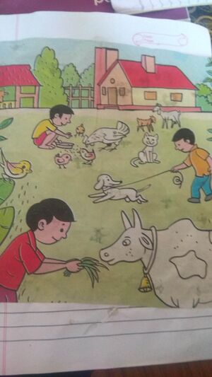 Collection of adwaith .jpg