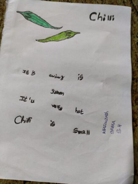പ്രമാണം:11021-KGD-KUNJ-KHADEEJATH SHABLA.jpeg