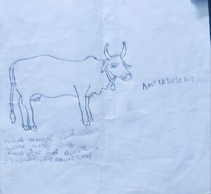 19622-MLP-KUNJ-ameya suresh.jpg