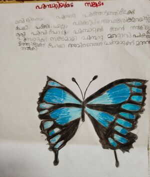 19641-MLP-KUNJ-AJWA FATHIMA.jpeg